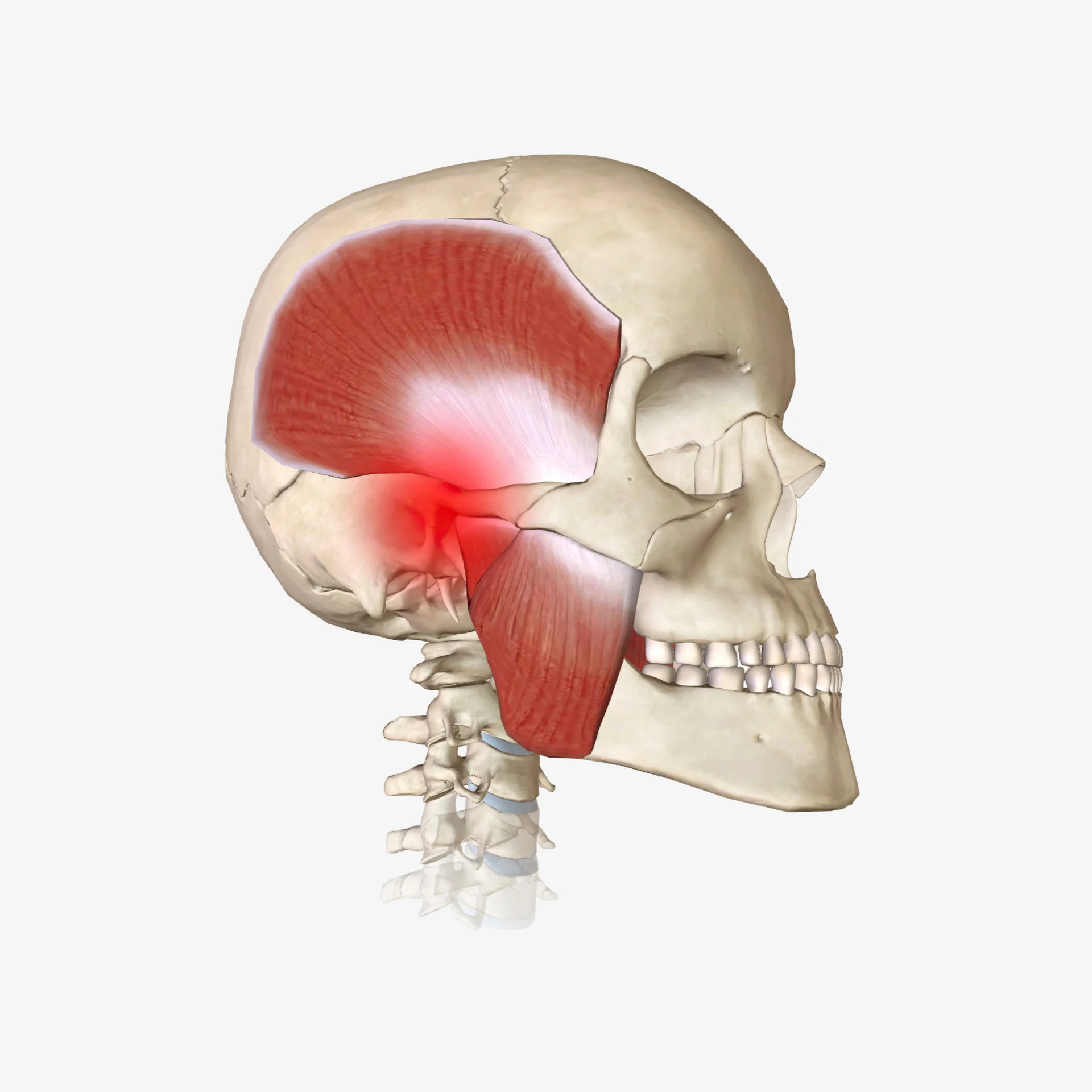 รักษาข้อต่อขากรรไกรอักเสบ